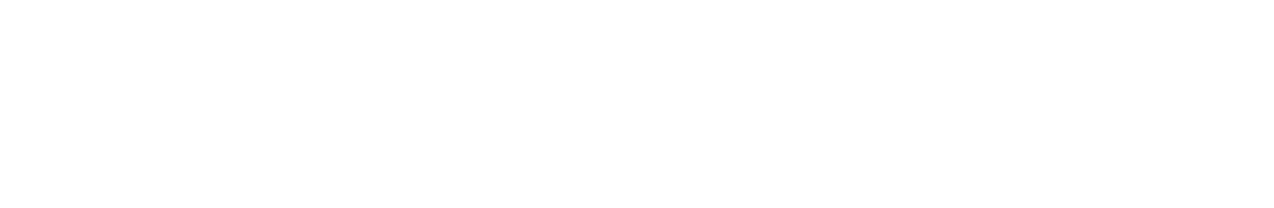 TOPDON_logo_footer